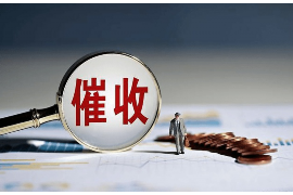 泸县要账公司更多成功案例详情